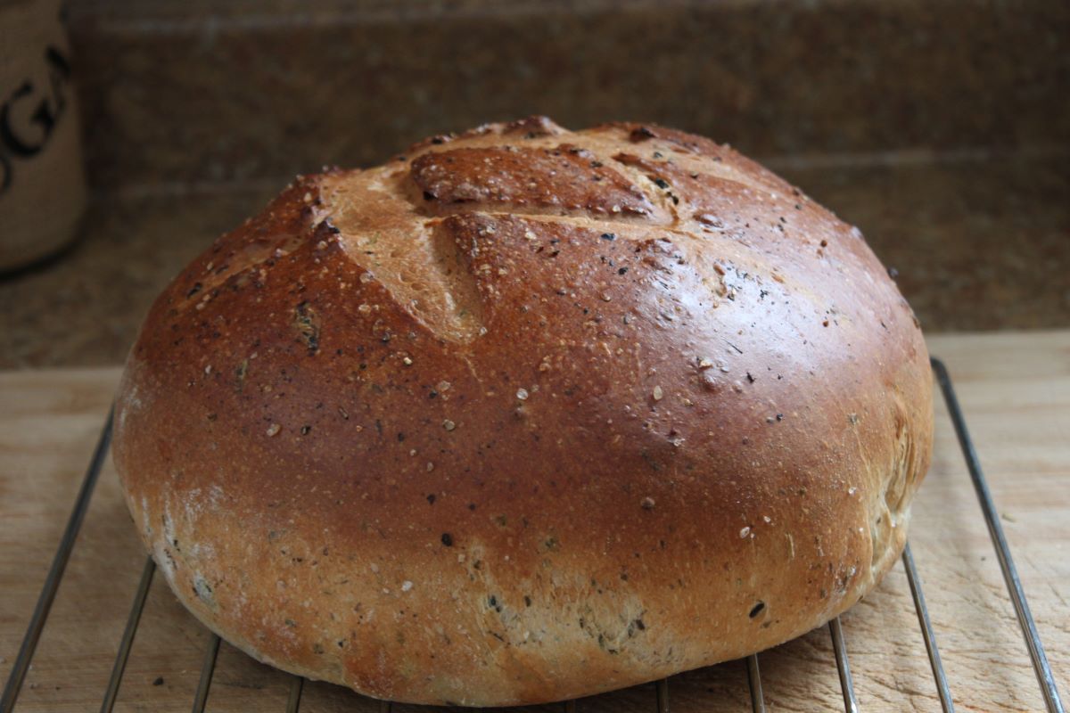 Name:  Olive bread 2.JPG
Views: 3167
Size:  118.8 KB