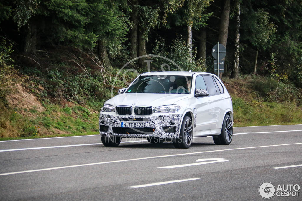 Name:  bmw-x5m-f15-c.jpg
Views: 14903
Size:  203.8 KB