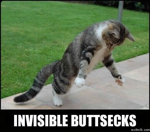 Name:  Invisible_buttsecks.jpg
Views: 23267
Size:  35.0 KB