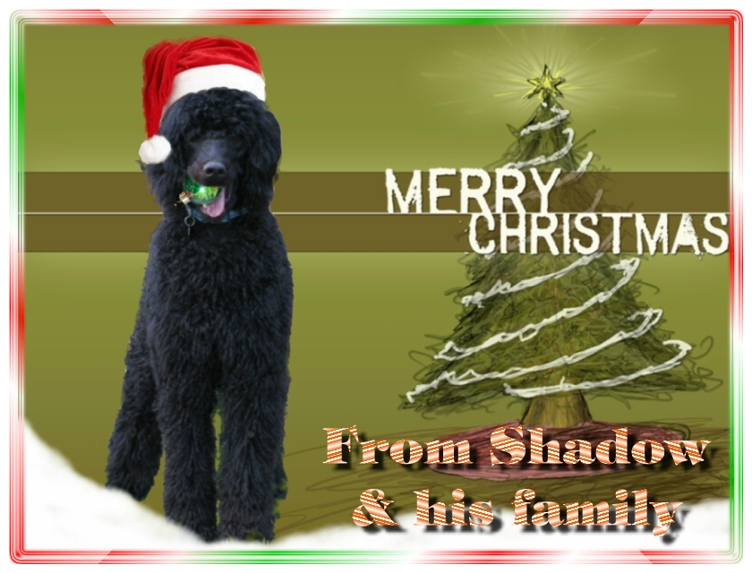 Name:  shadow-christmas-card-3.jpg
Views: 35056
Size:  291.5 KB