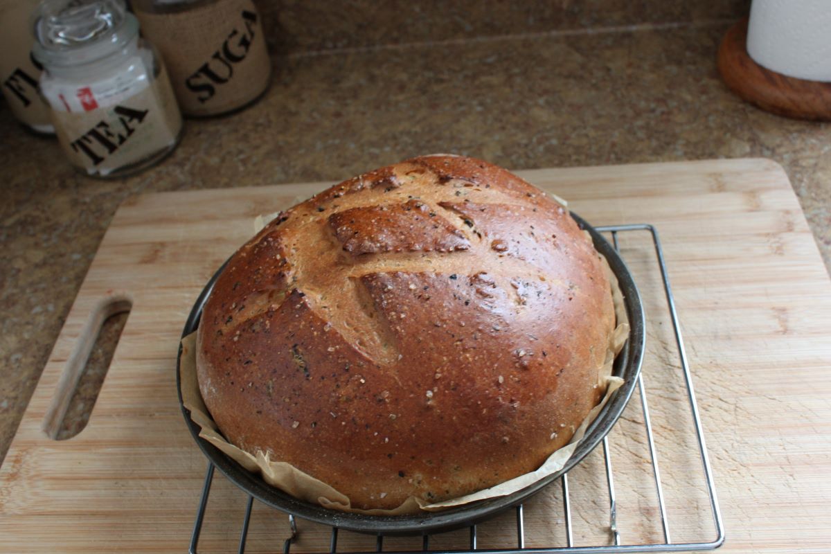 Name:  Olive bread 3.JPG
Views: 3168
Size:  130.0 KB