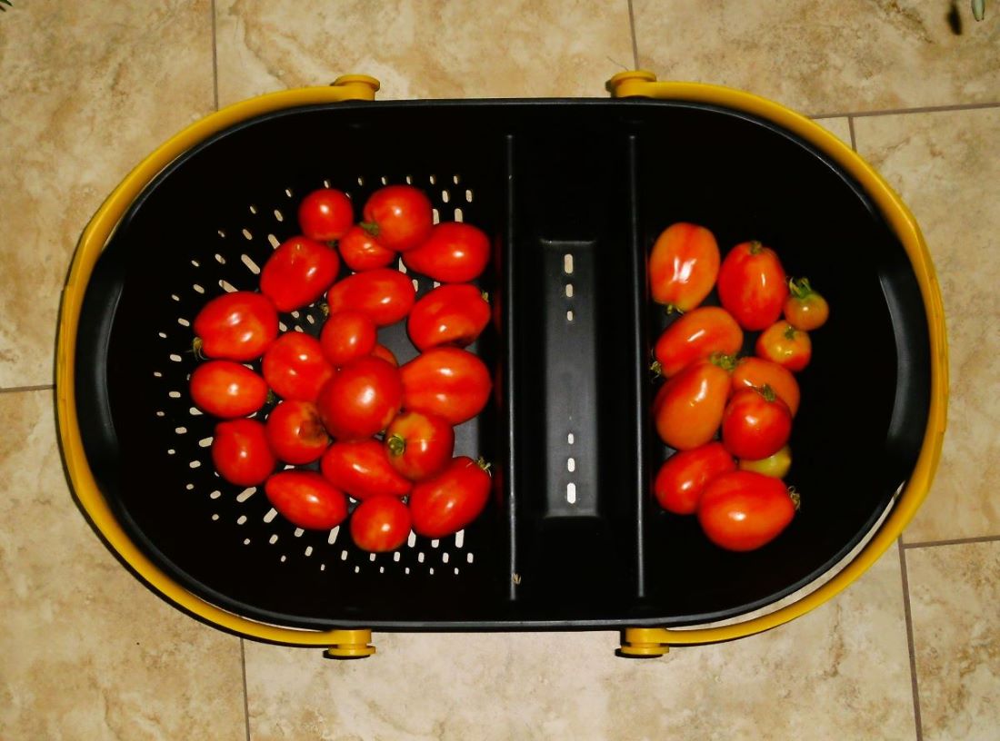 Name:  Tomatoes.jpg
Views: 527
Size:  107.0 KB